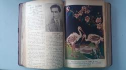 Okul ve Öğretmen/ Aydan Aya Çıkar Öğretmen Dergisi/ 1937 3. 4.Cilt / No: 12-13-14-15-16-17-18-19-20 - 9 Sayı