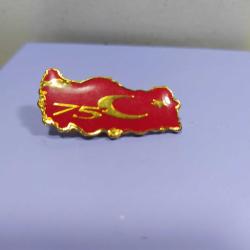 R58-----75. YIL TÜRKİYE HARİTALI ROZET