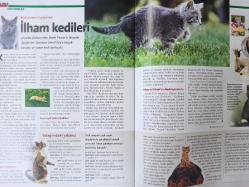 Tempo Dergisi - 8-14 Şubat 2001 - Kenan Işık- Fatih Terim'i kızdıran kitap- Rallinin geleceği Türkiye'de - Lüks atmosferde aile sıcaklığı- Stalin'in oyunu- Hayatınızı kurtaracak hisseler- Banu Alkan- Aslı Üstünkaya- Ufuk Güldemir ve Begüm Özbek- Ayfer Toprak-