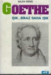 GOETHE IŞIK...BİRAZ DAHA IŞIK