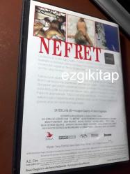 nefret dvd  (PC'de denenmiştir)  (le mepris) (brigitte bardot michel piccoli jean luc godard)