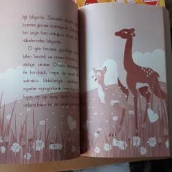 Masal-Hikaye 10 Kitap Ana Okul Çocukları ve 1-2 .Sınıf Dengi 5 N 1 K