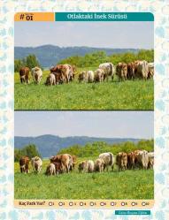 Herkes İçin Fark Bulma Kitabı (50 Tam Sayfa Fark Bulma)