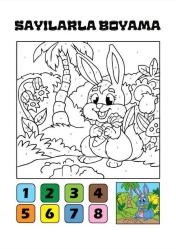 Çocuklar İçin Sayılarla Boyama Kitap Seti (2 Kitap)