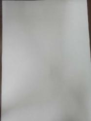 Tıpkı Basım - Dev Boy Fotokopi Kağıdında - Tan Gazetesi - Newspaper - 9 İkinciteşrin 1938 - 9 Kasım 1938 - 9 November 1938 - Büyük Şefin Sıhhati - İngiliz Kralı Mühim bir nutuk söyledi - Frankistlerin Yeni Zaferleri - Bir Ana Günü İstiyoruz - Fransız Başvekili Dalayide - Japonya, Garbi Çine de Taaruzu hazırlandı - Soyulduğunu 4 ay sonra zabıtadan öğrenen otel - Fransa, Almanya ile Anlaşmaya çalışıyor - Kral ve Kraliçenin Parlamentoya giderken alınmış resimlerinden -