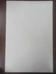 Tıpkı Basım - Dev Boy Fotokopi Kağıdında - Son Posta Gazetesi - Newspaper - 11 İkinciteşrin 1938 - 11 Kasım 1938 - 11 November 1938 - Onun arkasından yalnız Türk yurdu değil, bütün dünya ağlıyor - Avrupada teessür - Büyük Şefin son dakikaları - Yurdun her köşesinde gözyaşı, hüzün, matem - Millet meclisi bugün toparlanarak yeni Cumhurreisini seçecek - Dolmabahçe sarayının parmaklıklar önünde -