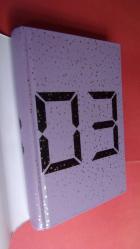 03:03 Dolunayda Açan Çiçek