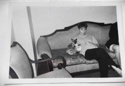 SİYAH BEYAZ KEDİ FOTOĞRAFLARI 13 AD