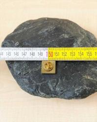 VİNTAGE CHP ROZET YAKA BROŞU KLİPSLİ ROZET 1 ADET