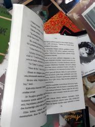 ada - theodore taylor