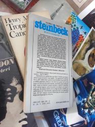 aşk otobüsü - john steinbeck