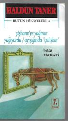 Şişhane'ye Yağmur Yağıyordu / Ayışığında 
