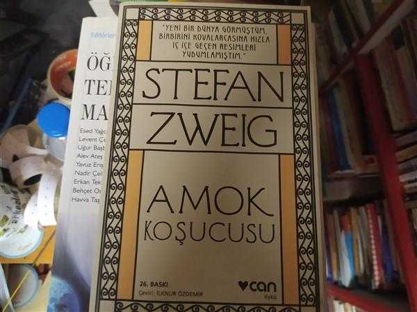 Амок цвейг содержание. Амок цвейг содержание