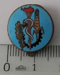 ESKİ DÖNEM ŞİFA KAYNAĞI DOĞA TEMALI MİNELİ PAPUÇLU ORİJİNAL YAKA ROZETİ 1DD2RA ÇOK NADİRDİR