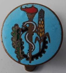 ESKİ DÖNEM ŞİFA KAYNAĞI DOĞA TEMALI MİNELİ PAPUÇLU ORİJİNAL YAKA ROZETİ 1DD2RA ÇOK NADİRDİR