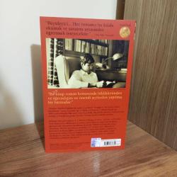 Saf ve Düşünceli Romancı