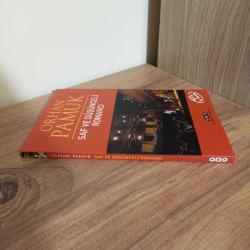 Saf ve Düşünceli Romancı