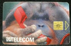 Efemera - 20116 ÇEKYA TELEFON KARTI - kitantik - kitaLog