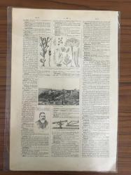 Harita Carte Generale De L’algerie Et De Tunisie (Cezayir ve Tunus Genel Haritası) 19,529,5 cm