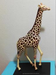 Zürafa anatomi iskelet iç organlar maket biblo dekor oyuncak