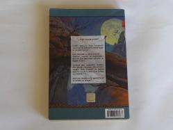 Ejderha Mızrağı İkizlerin Savaşı Efsaneler Üçlemesi 2. Kitap