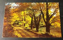 POSTA KARTI  ABD  SULPHUR LOUİSİNA  MANZARALI   KOLEKSİYONLUK