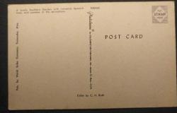 POSTA KARTI  ABD  TOOMSUBA MİSSİSSİPPİ   SOUTHERN BAHÇELERİNDE,  İLKBAHARDA İSPANYOL YOSUNU VE AÇELYALARI  MANZARALI   KOLEKSİYONLUK