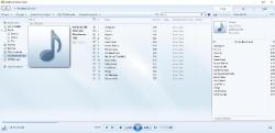 adı bende saklı - sezen aksu CD   (PC'de denenmiştir/dinlenmiştir)   kartonetsiz