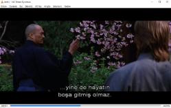 son samuray dvd  (pc'de denenmiştir/izlenmiştir) (the last samurai tom cruise)