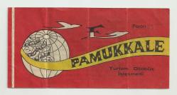 PAMUKKALE TURİZM OTOBÜS İŞLETMESİ İZMİR YOLCU BİLETİ...