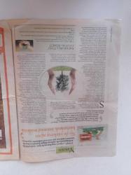 Cumhuriyet Sürdürebilir Yaşam Gazetesi - 29 Mayıs 2012 - Sayı 34 - Şener Şen - Siemens'ten Üniversite Öğrencilerine Kariyer Şenliği -İlk Uluslararası Ekoloji Festivali ECOFEST İstanbul'da - İklimle Başımız Derde Girdi - Üreticiden Tüketiciye Besin Modelleri