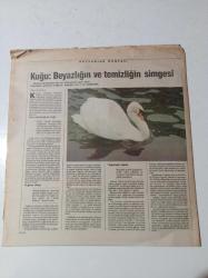 Cumhuriyet Bilim Teknik Gazetesi - 13 Nisan 1991- Sayı 213 - Tarihin 5 Dakikasının Uzunluğu - İlk Jilet İcat Oldu - Manolya Üretimi Nasıl Yapılır - Rock Konserleri Sağır Yapıyor -Saç Teli İnceliğinde Mikro Motorlar - Kuğu Beyazlığın Ve Temizliğin Simgesi - Einstein Yine Haklı - Piri Reis'in Haritası Ve Bir Bilim Kurgu Romanı