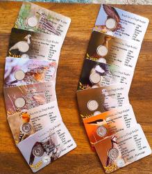 Anadolu'ya Özgü Kuşlar.. ((2020))