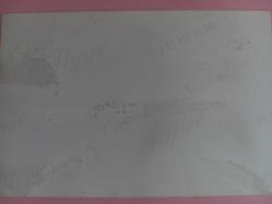 TÜRKAN ŞORAY'IN TIPKI BASIM FOTOĞRAFI - 15 x 10 cm EBADINDA