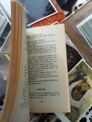 mahrem itiraflar - besançon (bilimsel seks romanı)