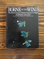 Borne on the Wind The Extraordinary World of Insects in Flight