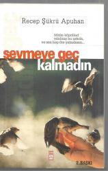 Sevmeye Geç Kalmadın