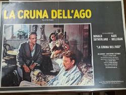 La Cruna Dell'ago filmi - Lobi kartı - No: 1 - Lobby Cards - Donald Sutherland - Kate Nelligan - Ian Bannen - Christopher Cazenove