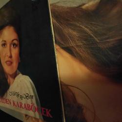 Gülden Karaböcek müzik ve ben plak dönem (posteri ile)