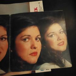 Gülden Karaböcek müzik ve ben plak dönem (posteri ile)