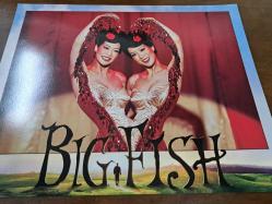 Orijinal Amerikan Baskı - Big Fısh  ( Büyük Balık )  Filmi  - Lobi Kart Seti  - Lobby Cards Set - 7'li Set