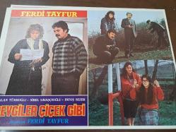 Sevgiler Çiçek Gibi Filmi  - Lobi Kart Seti  - Lobby Cards Set - Ferdi Tayfur- Nalan Türkoğlu- Sibel Savaşçıoğlu- Fatoş Sezer- 8'li Set