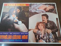 Sevgiler Çiçek Gibi Filmi  - Lobi Kart Seti  - Lobby Cards Set - Ferdi Tayfur- Nalan Türkoğlu- Sibel Savaşçıoğlu- Fatoş Sezer- 8'li Set