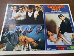 Screwball Hotel-Çıplaklar Oteli Filmi  - Lobi Kart Seti  - Lobby Cards Set - Lori Deann Pallett - Corinne Alphen - Michael Bendetti - 6'li Set