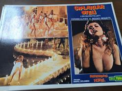 Screwball Hotel-Çıplaklar Oteli Filmi  - Lobi Kart Seti  - Lobby Cards Set - Lori Deann Pallett - Corinne Alphen - Michael Bendetti - 6'li Set