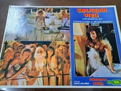Screwball Hotel-Çıplaklar Oteli Filmi  - Lobi Kart Seti  - Lobby Cards Set - Lori Deann Pallett - Corinne Alphen - Michael Bendetti - 6'li Set
