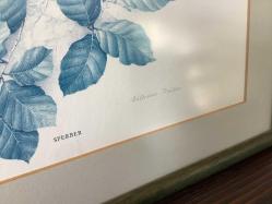 AVRUPA BASKI ESKİ RESİM