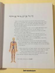 Multi-Subject Junior Library 22 - Jounier La Brerley'in İnsan Vücudu - Kyowon - Korece Ders Kitabı