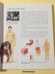 Multi-Subject Junior Library 22 - Jounier La Brerley'in İnsan Vücudu - Kyowon - Korece Ders Kitabı