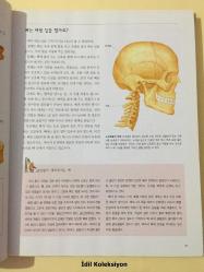 Multi-Subject Junior Library 22 - Jounier La Brerley'in İnsan Vücudu - Kyowon - Korece Ders Kitabı